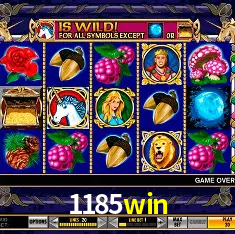 1185win Rio de Janeiro - Bonus Terms